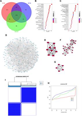 Systematic analysis of the role and significance of target genes of active ingredients of traditional Chinese medicine injections in the progression and immune microenvironment of hepatocellular carcinoma